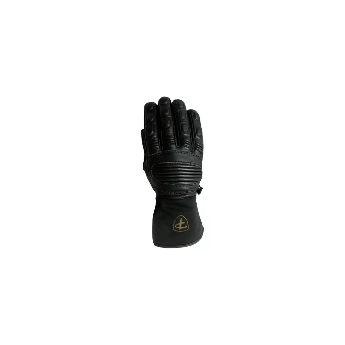 Polednik pánské zimní rukavice, SKI PRO 3M, Černá