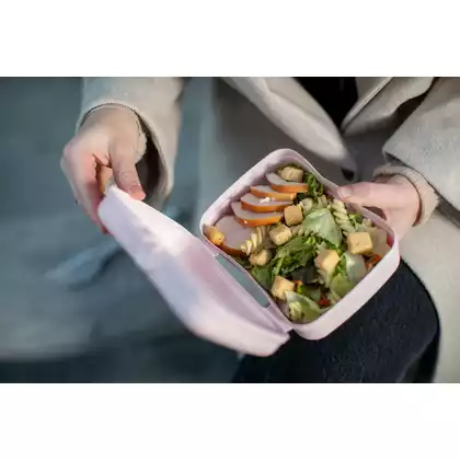 Koziol lunchbox Basic Organic, růžový