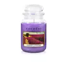 COCODOR vonná svíčka garden lavender 550 g
