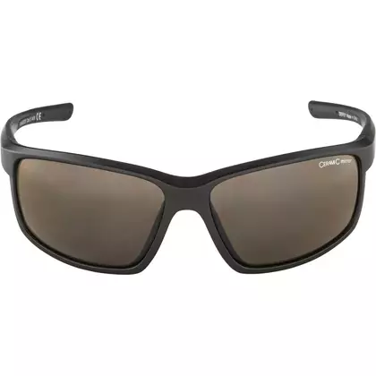 ALPINA DEFEY cyklistické/sportovní brýle, tin-black matt